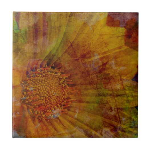 Carreau Expressions (Devant)