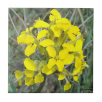 F14 Fleurs sauvages jaunes