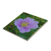 Carreau F37 Rose sauvage (Côté)