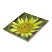 Carreau F41 Fleur sauvage jaune barbe-de-bouc (Côté)