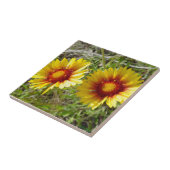 Carreau F8 Fleurs sauvages jaunes Gaillardia (Côté)