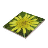 Carreau F9 Barbe de chèvres Fleurs sauvages jaunes (Côté)