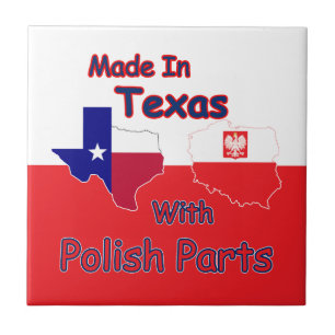 Carreau Fabriqué Au Texas Avec Pièces Polonaises