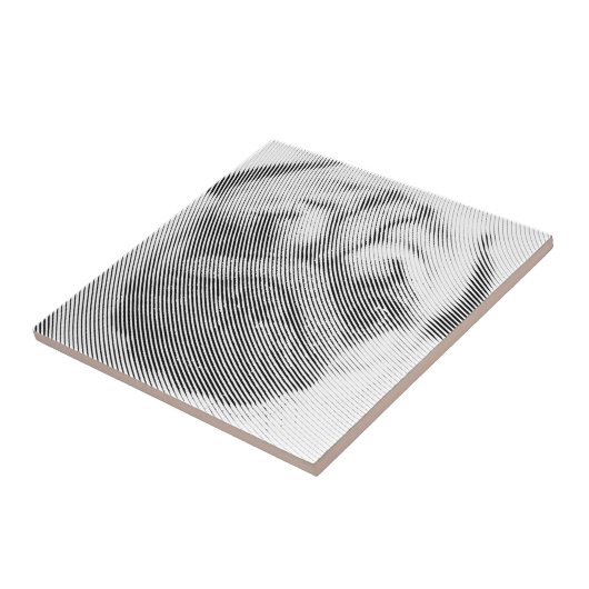 Carreau Face carlin (Côté)