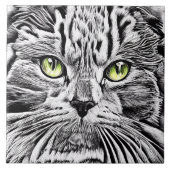 Carreau Face de chat (Devant)