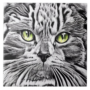 Carreau Face de chat