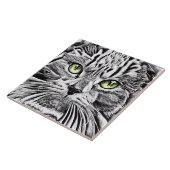 Carreau Face de chat (Côté)