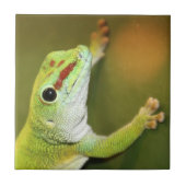 Carreau Face de Gecko (Devant)