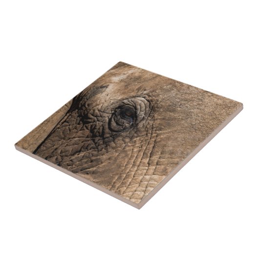 Carreau Face d'un éléphant (Côté)