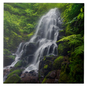 Carreau Fairy Falls Gorge de la rivière Colombia Oregon.