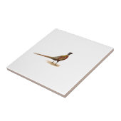 Carreau faisan Anneau-étranglé (Côté)