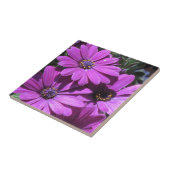 Carreau Faisanterie africaine violette (Côté)