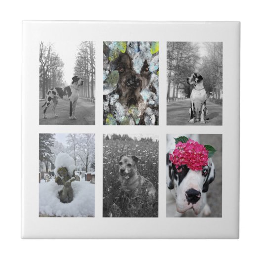 Carreau Faites-le vous aider (Devant)