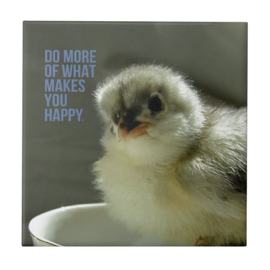 Carreau Faites plus de ce qui vous rend heureux Chick assi (Devant)