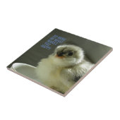 Carreau Faites plus de ce qui vous rend heureux Chick assi (Côté)