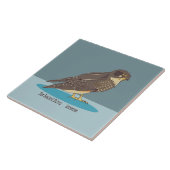 Carreau Falcon de la Nouvelle-Zélande Karearea (Côté)