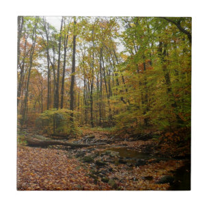 Carreau Fall Creek à Laurel Hill State Park Pennsylvanie