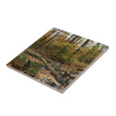 Carreau Fall Creek avec réflexion à Laurel Hill Park (Côté)