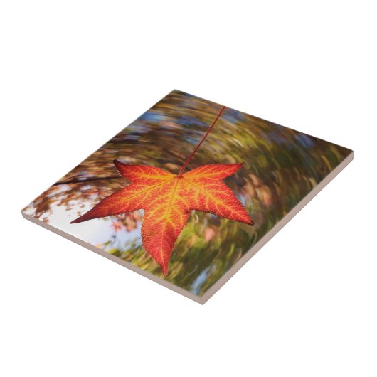 Carreau Falling Leaf de l'arbre en automne (Côté)