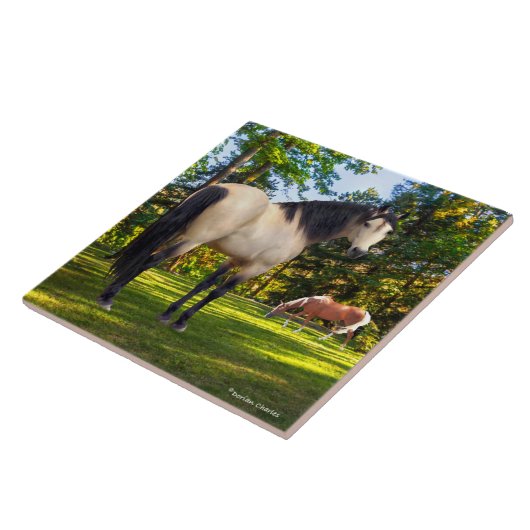 Carreau "Fallon"  (Côté)