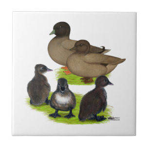 Carreau Famille Call Duck Khaki