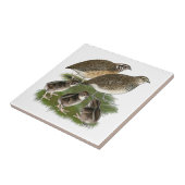 Carreau Famille de Cailles Coturnix (Côté)