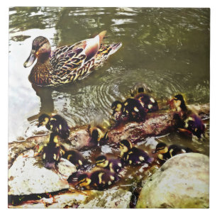 Carreau Famille de canards
