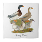 Carreau Famille de canards de Saxe (Devant)