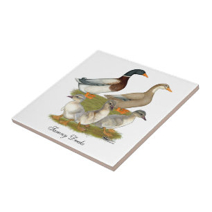 Carreau Famille de canards de Saxe