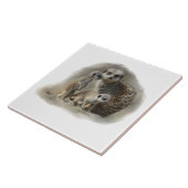 Carreau famille de meerkat (Côté)