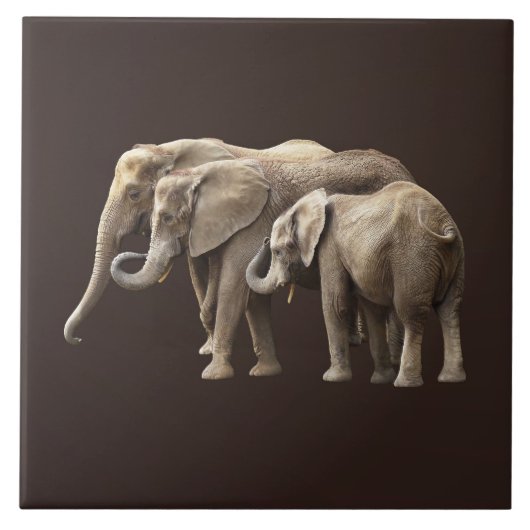 Carreau Famille d'éléphants (Devant)