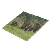 Carreau Famille d'éléphants indiens (Côté)