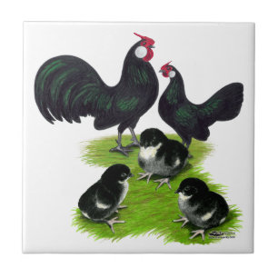 Carreau Famille des Rosecomb Black Bantam