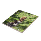 Carreau Famille d'ours Brown (Côté)