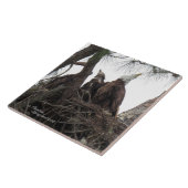 Carreau Famille Eagle chantant Spiegeland Tile (Côté)