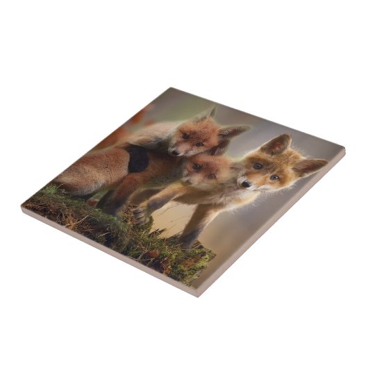 Carreau Famille mignonne de Fox (Côté)