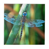 Carreau Fantasy Dragonfly (Devant)