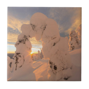 Carreau Fantômes de neige dans la chaîne Whitefish