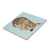 Carreau Faune (Côté)