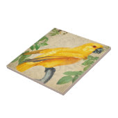 Carreau Faune exotique botanique Perroquet de la Jungle Ja (Côté)