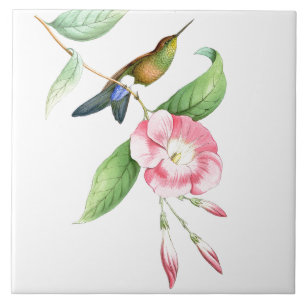 Carreau Faune florale d'animaux de fleurs d'oiseaux de