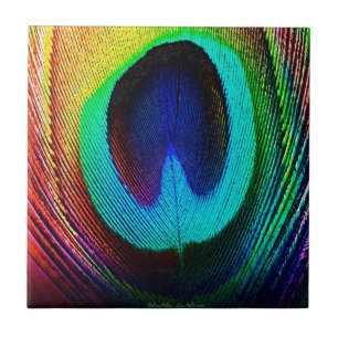 Carreau Feather