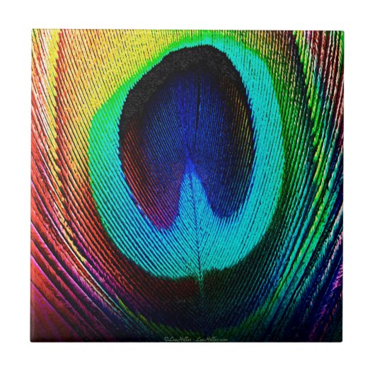 Carreau Feather (Devant)