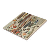 Carreau Feather Bird Wildlife Plumes d'antiquités (Côté)