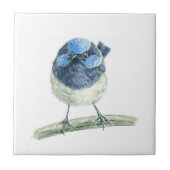 Carreau Fée (Devant)