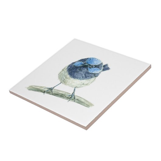 Carreau Fée (Côté)