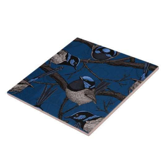 Carreau Fée de nuit (Côté)