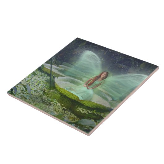 Carreau Fée d'étang (Côté)