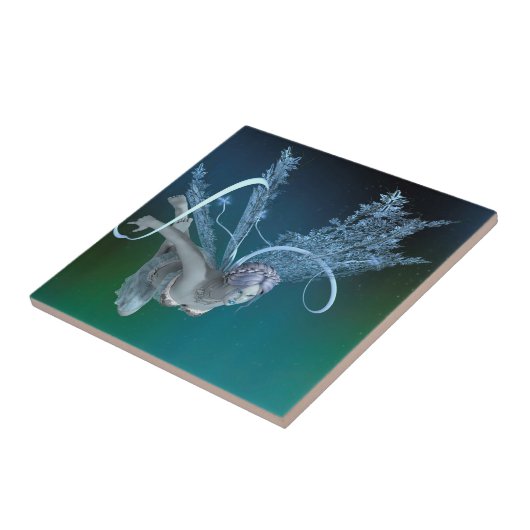 Carreau Fée d'hiver (Côté)