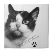 Carreau Félicette : Le premier chat dans l'espace (Devant)